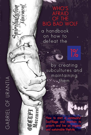 Who's Afraid Of The Big Bad Wolf?  A Handbook On How To Defeat The 1%,Used