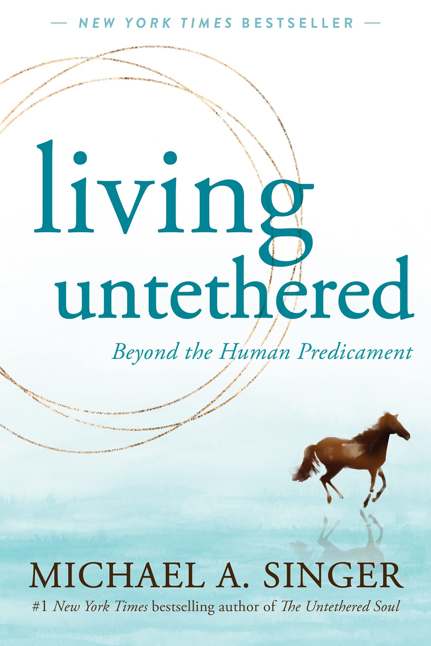 Living Untethered: Beyond The Human Predicament,Used
