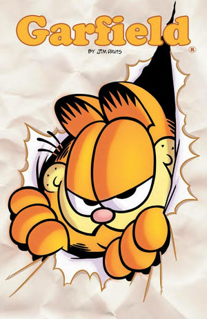 Garfield Vol. 5 (5),Used