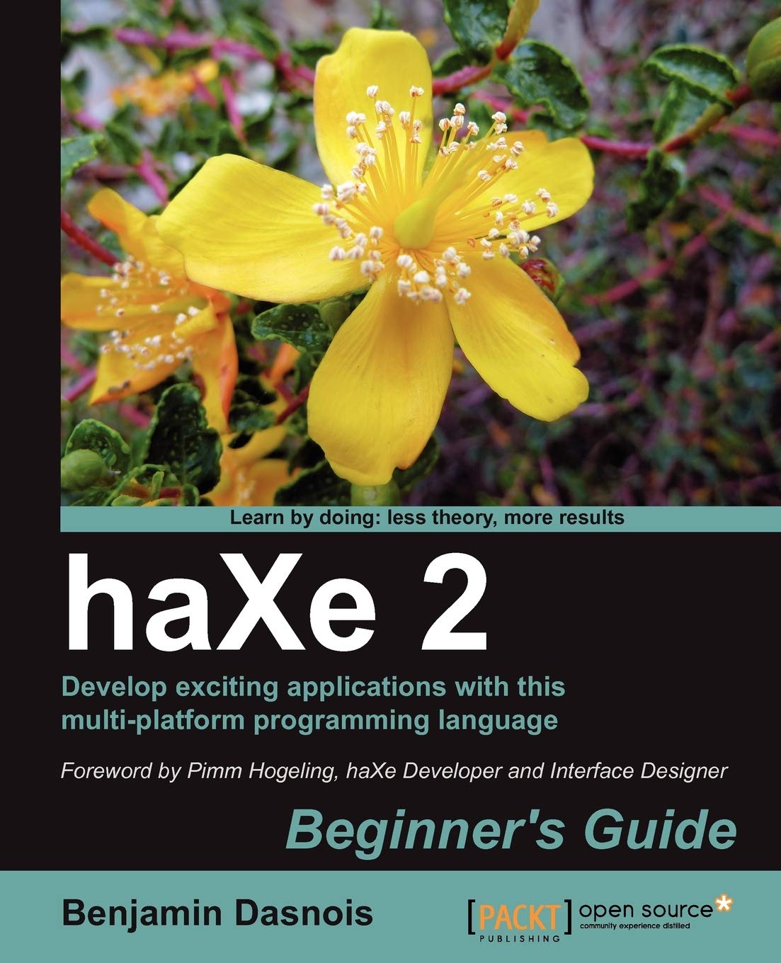 Haxe 2 Beginner's Guide,Used