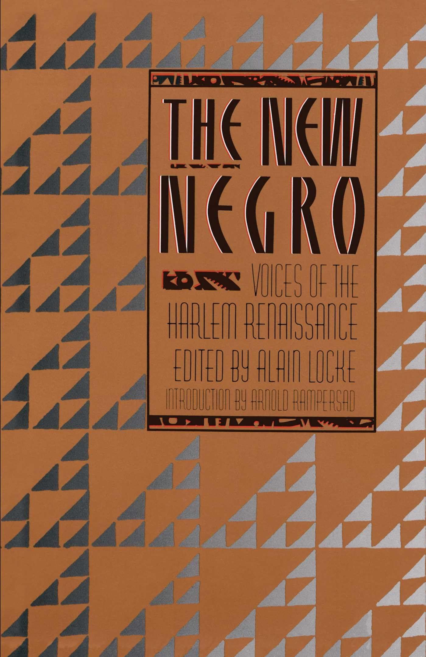 The New Negro : Voices of the Harlem Renaissance,Used