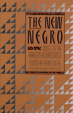 The New Negro : Voices of the Harlem Renaissance,Used