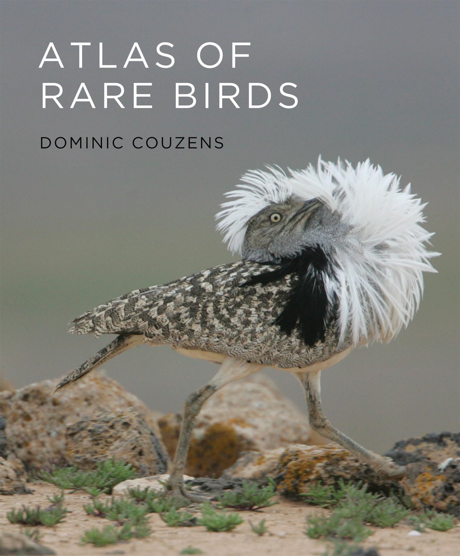 Atlas of Rare Birds (Mit Press),Used