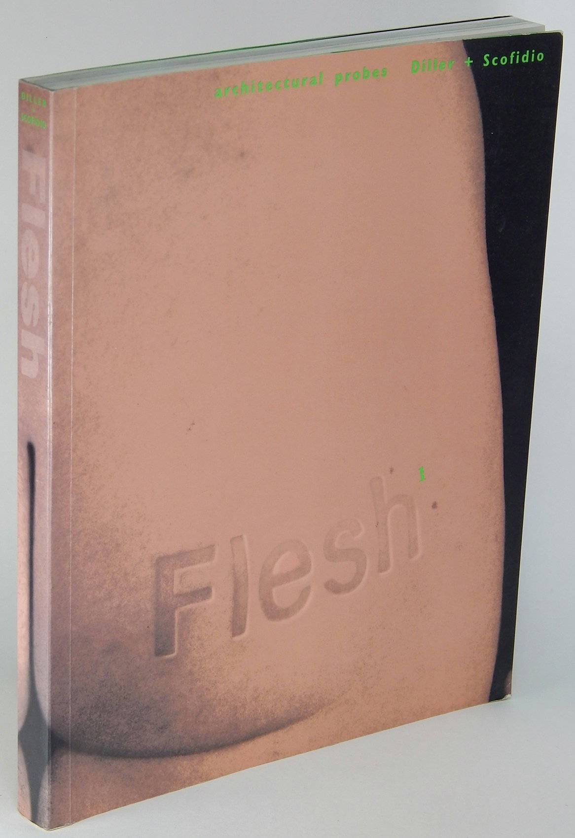 Flesh: Architectural Probes,Used