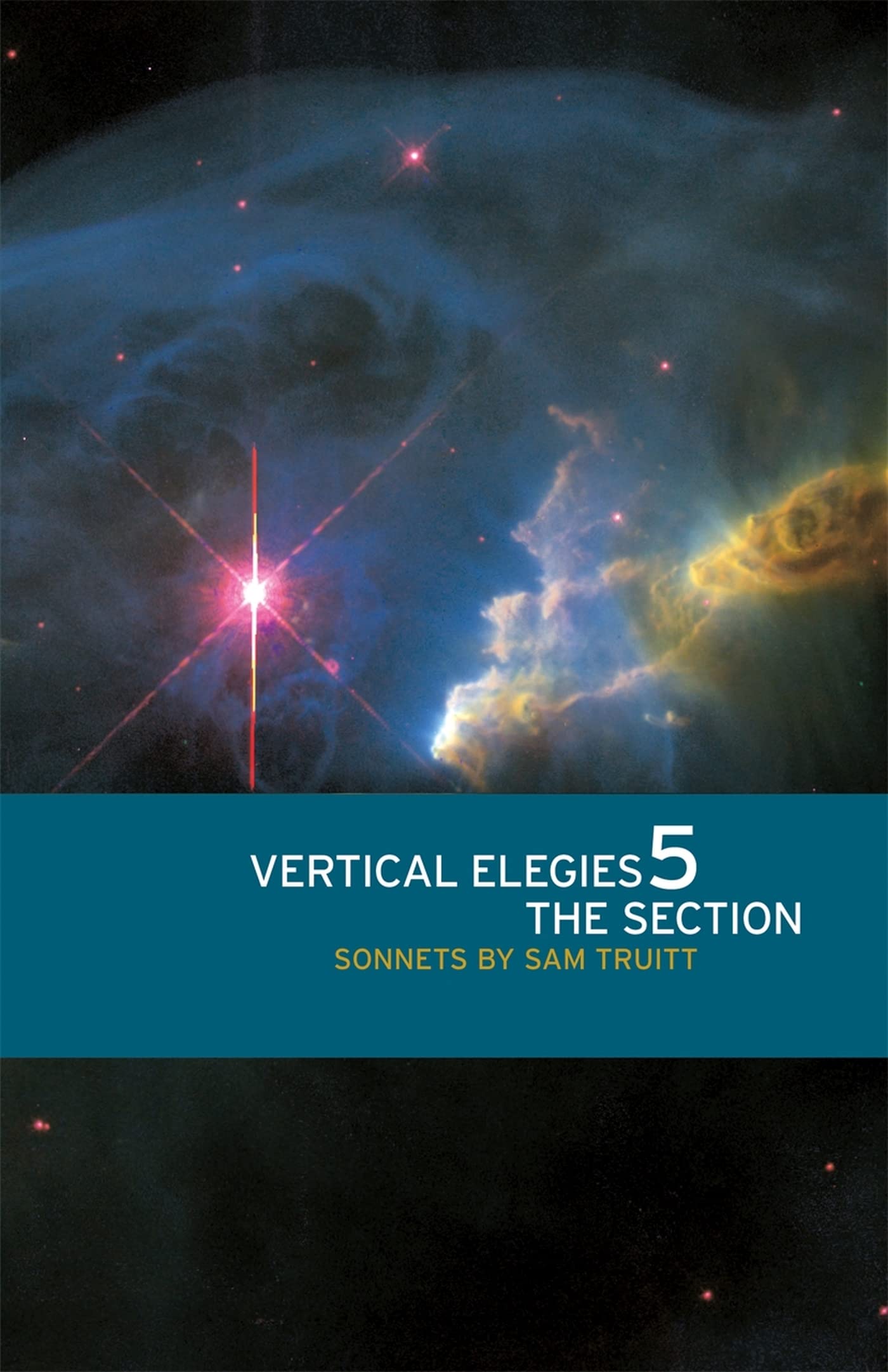 Vertical Elegies 5: The Section (The Contemporary Poetry Ser.),Used