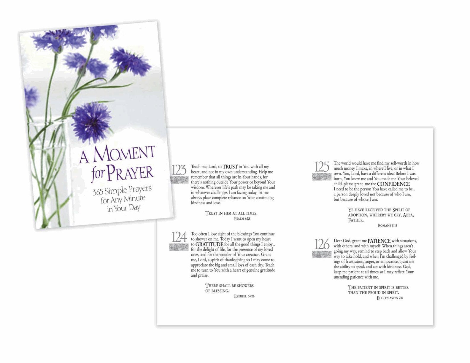 A Moment For Prayer  365 Simple Prayers For Any Minute In Your Day,Used