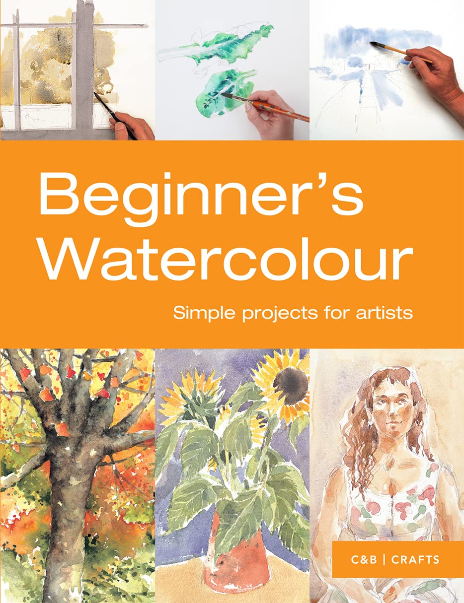 Beginner'S Watercolour: Simple Projects For Artists