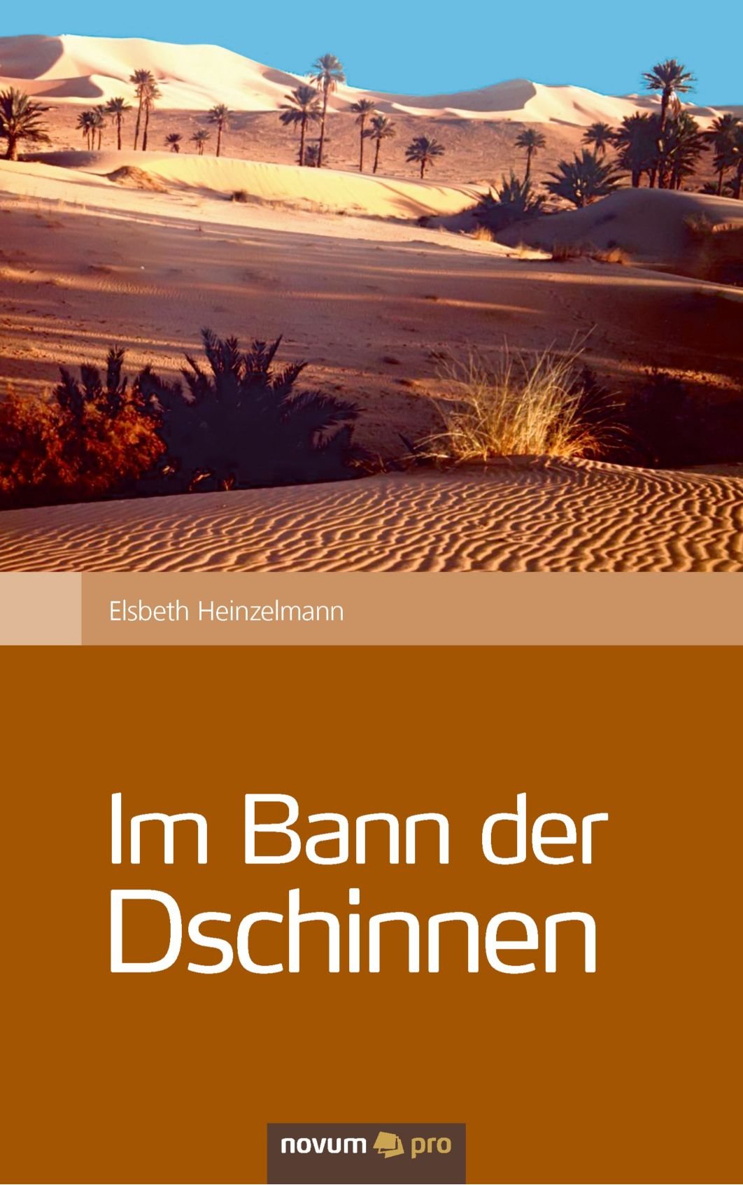 Im Bann der Dschinnen (German Edition),Used