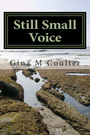 Still Small Voice: Refresh and Encourage,Used