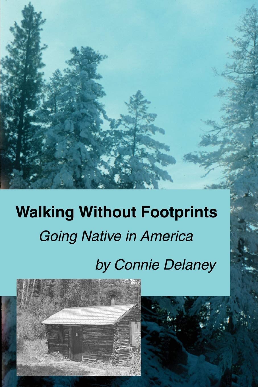 Walking Without Footprints: Going Native in America,Used