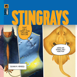 STINGRAYS