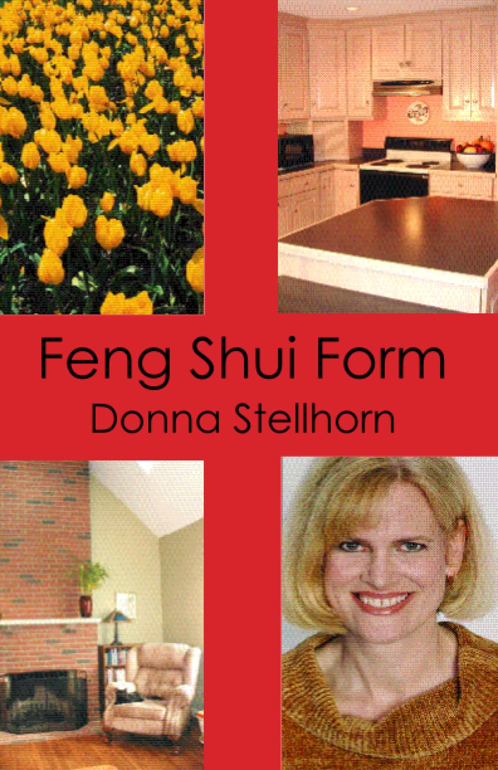 Feng Shui Form,Used