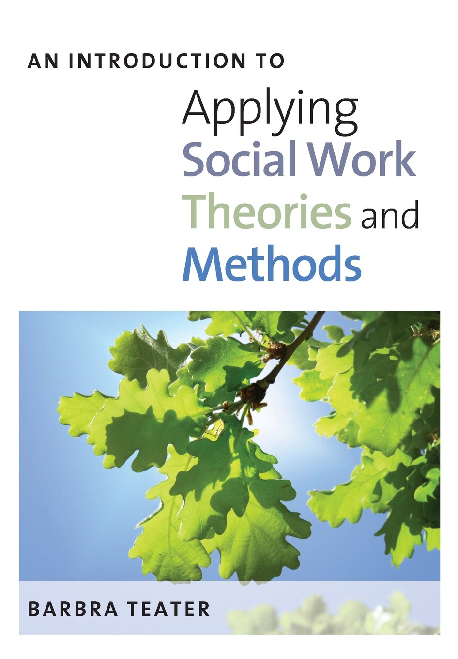 An Introduction To Applying Social Work Theories And Methods