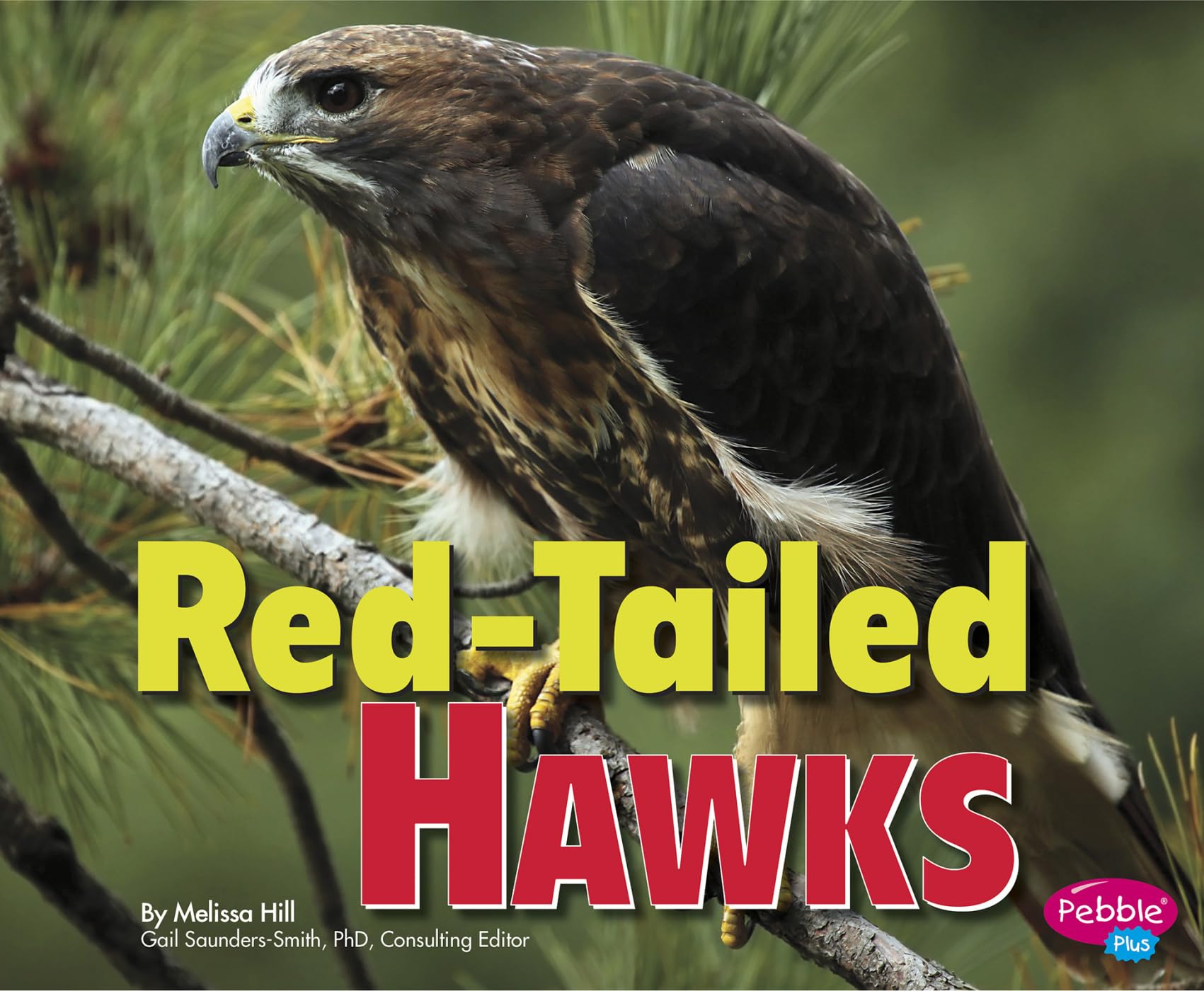 RedTailed Hawks (Birds of Prey),Used