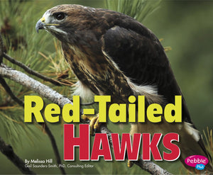 RedTailed Hawks (Birds of Prey),Used