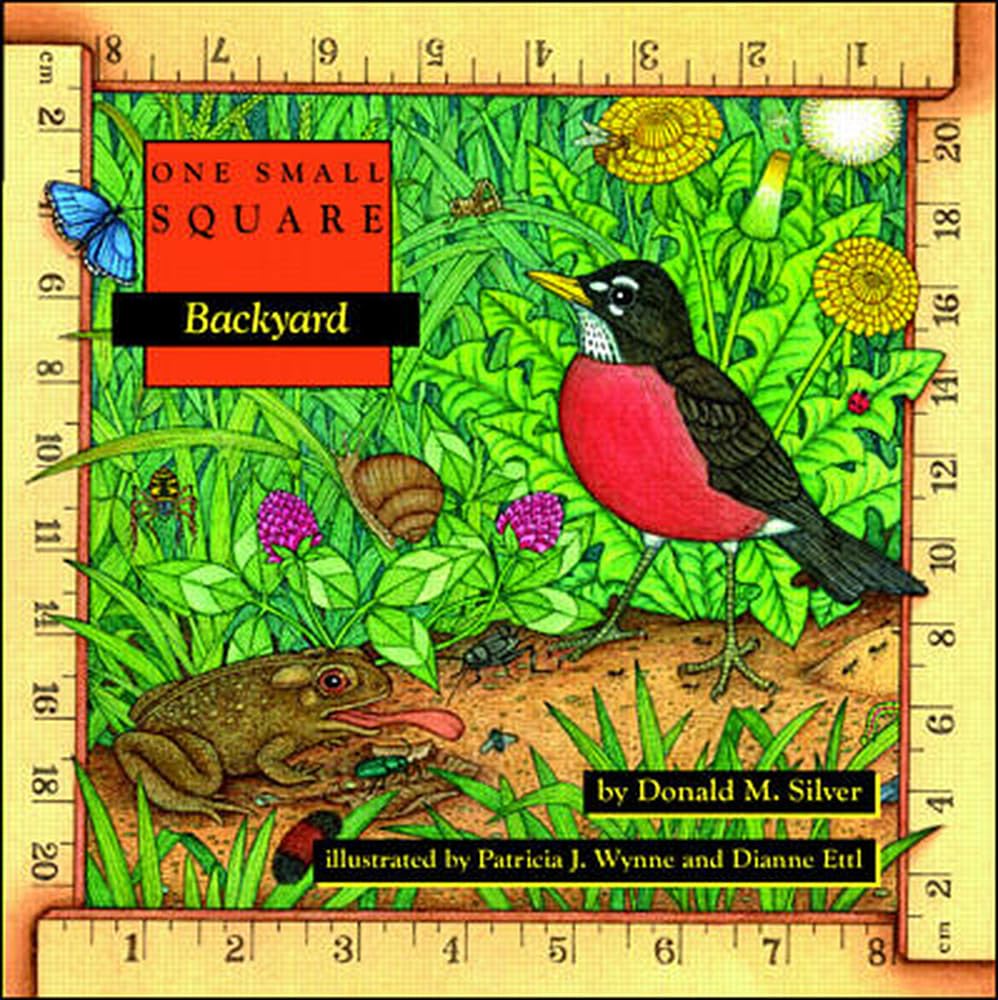 Backyard,Used
