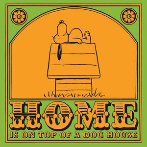 Home is On Top of a Dog House (Peanuts),Used