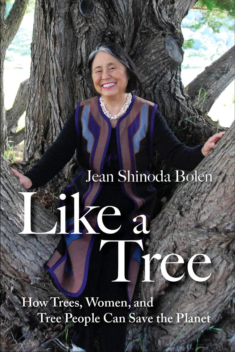Like a Tree: How Trees, Women, and Tree People Can Save the Planet,Used