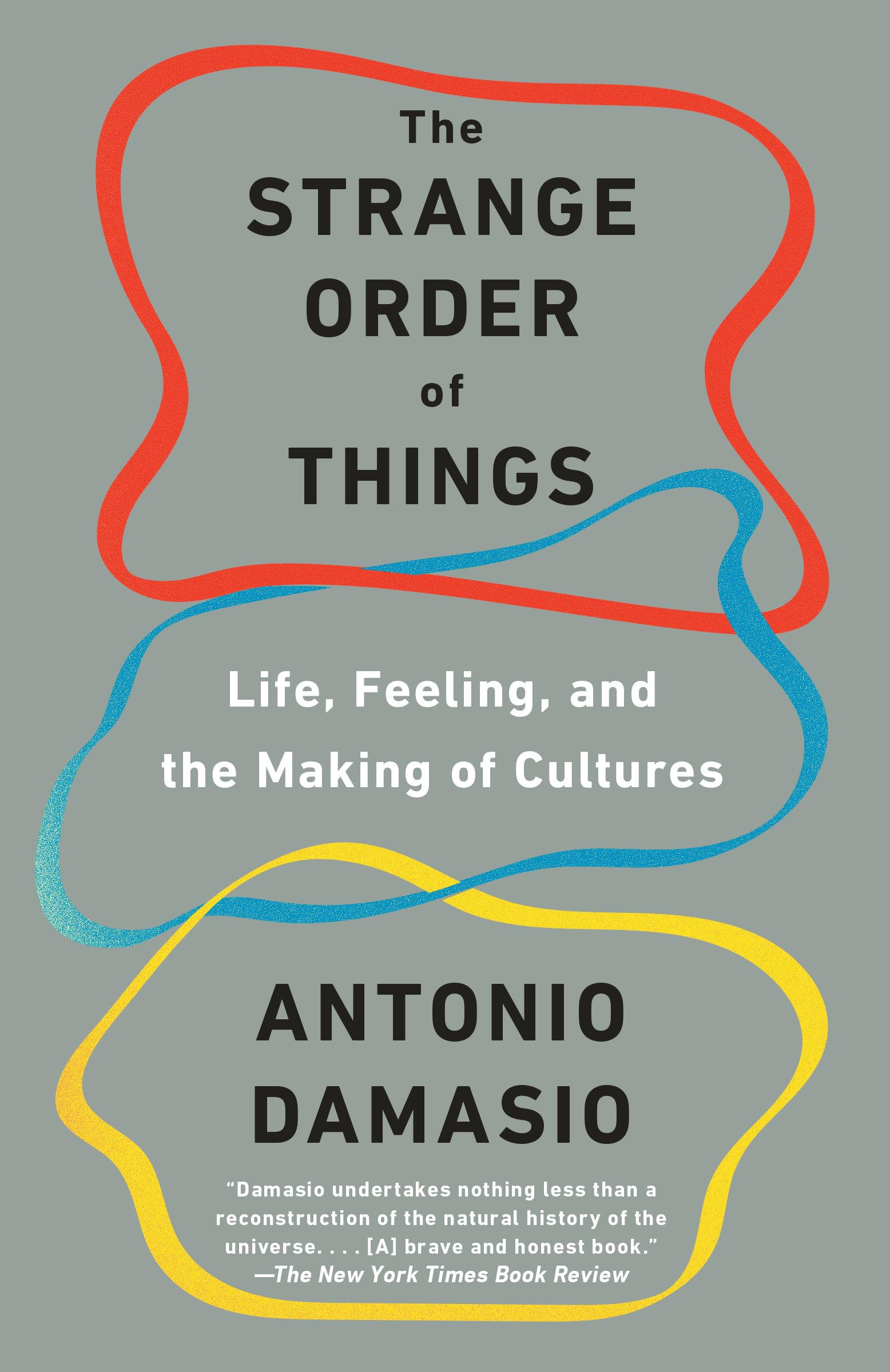 The Strange Order of Things: Life, Feeling, and the Making of Cultures,Used