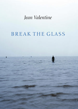 Break the Glass,Used
