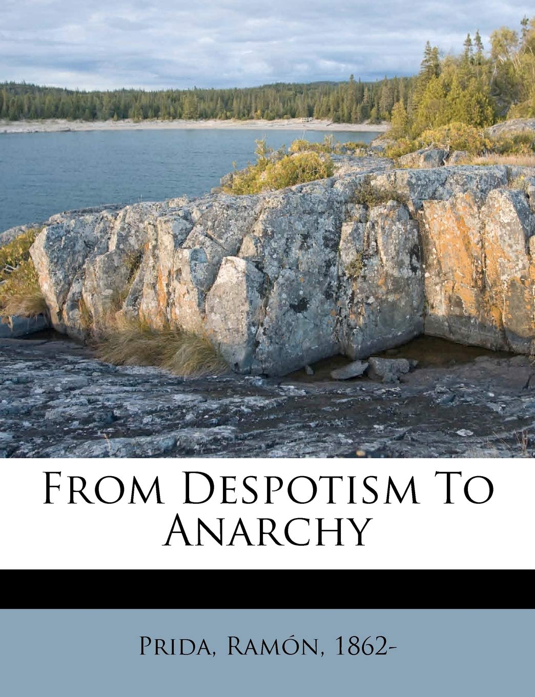 From Despotism to Anarchy,Used