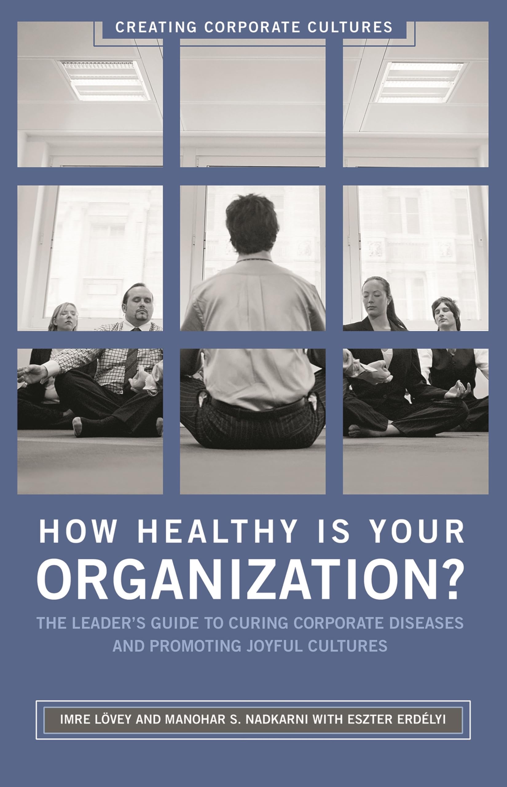 How Healthy Is Your Organization?: The Leader's Guide to Curing Corporate Diseases and Promoting Joyful Cultures (Creating Corpo,Used