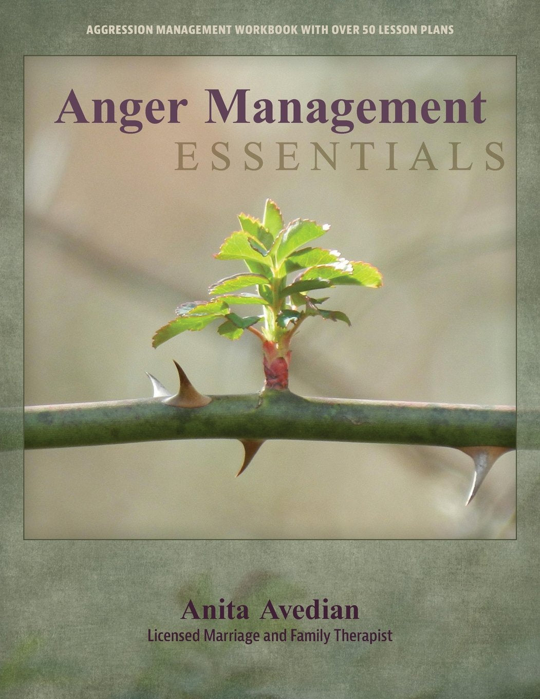 Anger Management Essentials: A Workbook For People To Manage Their Aggression,New
