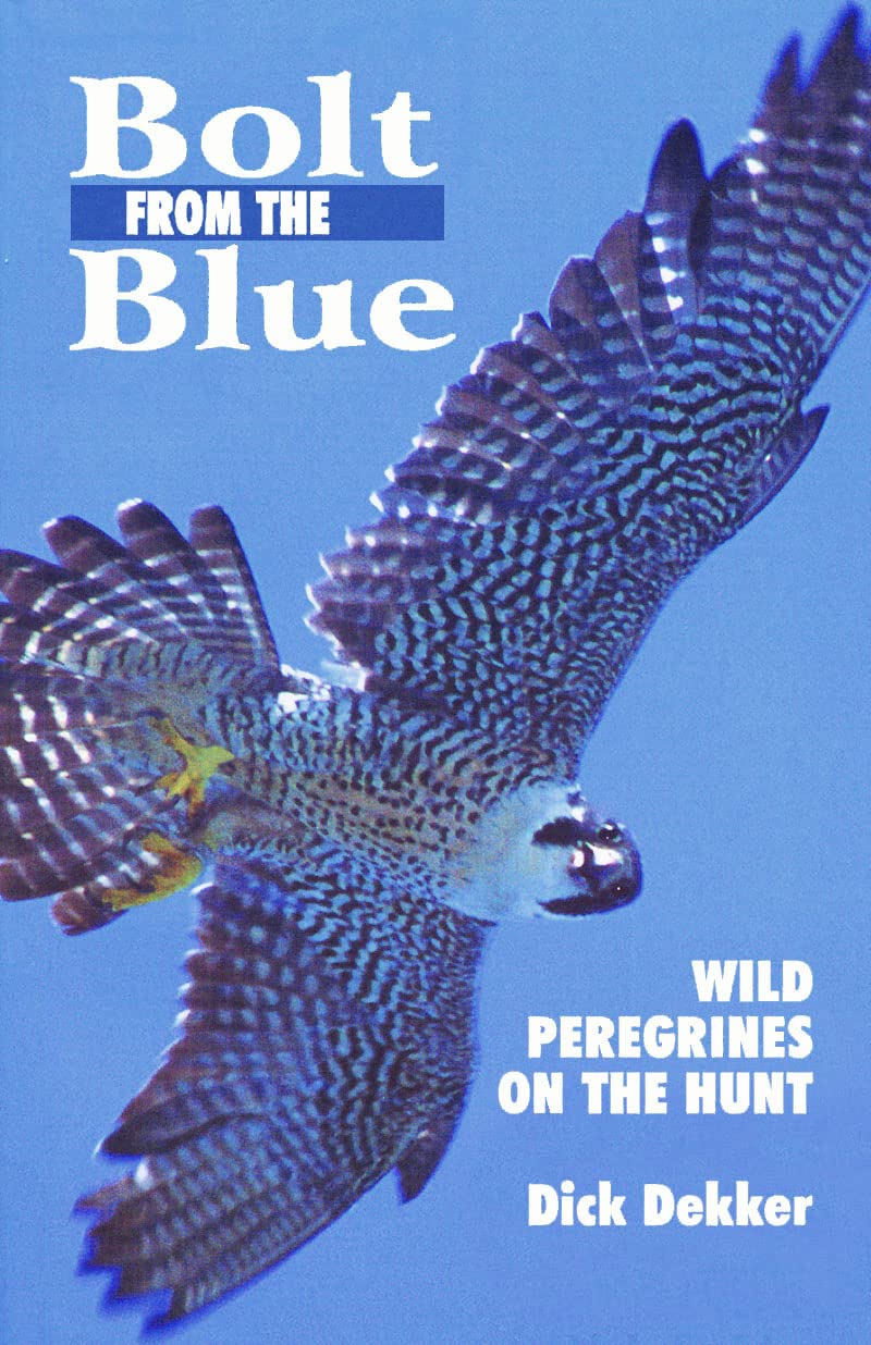 Bolt from the Blue: Wild Peregrines on the Hunt,New