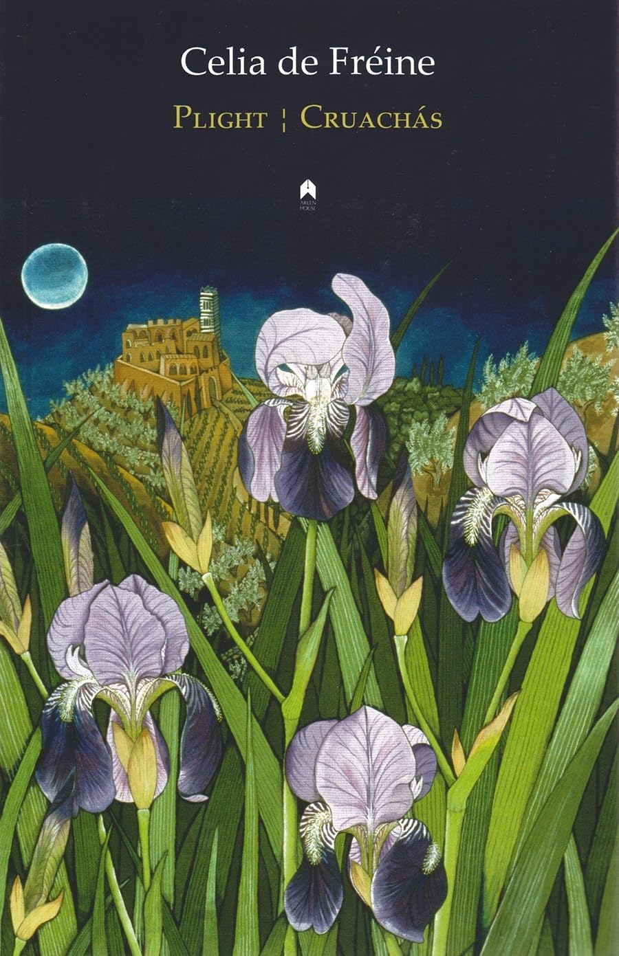 Plight: Cruachas (English And Irish Edition),Used