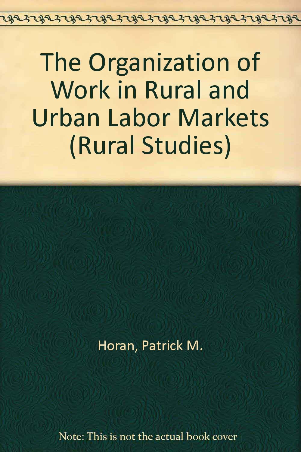 The Organization of Work in Rural and Urban Labor Markets (Rural Studies),Used