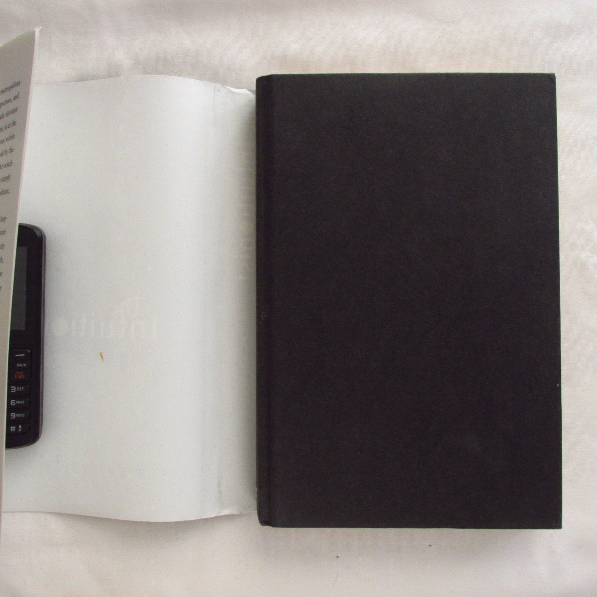 The Intuitionist,New