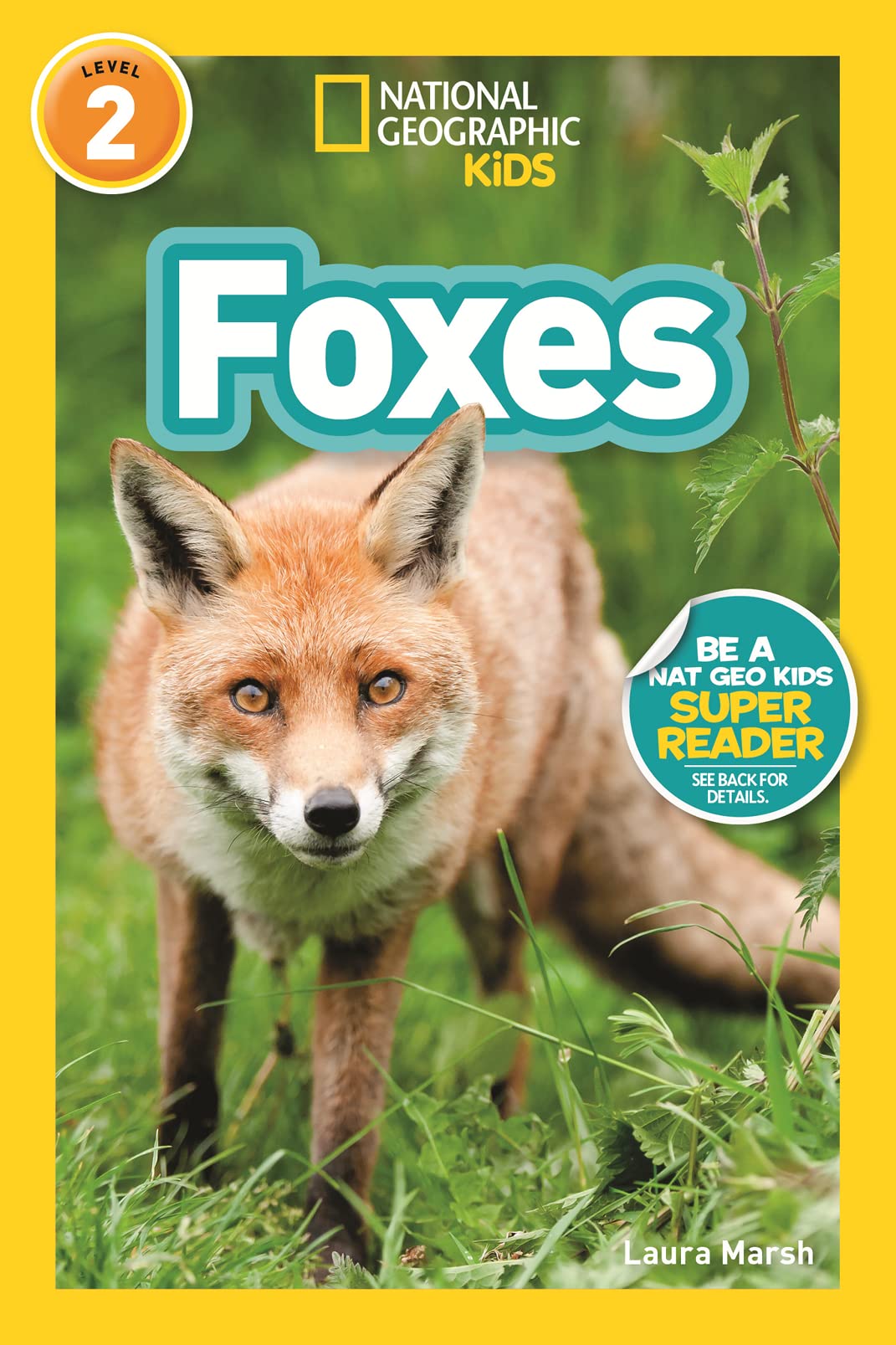 Foxes (National Geographic Kids Readers, Level 2),Used