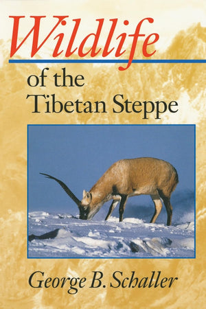 Wildlife Of The Tibetan Steppe