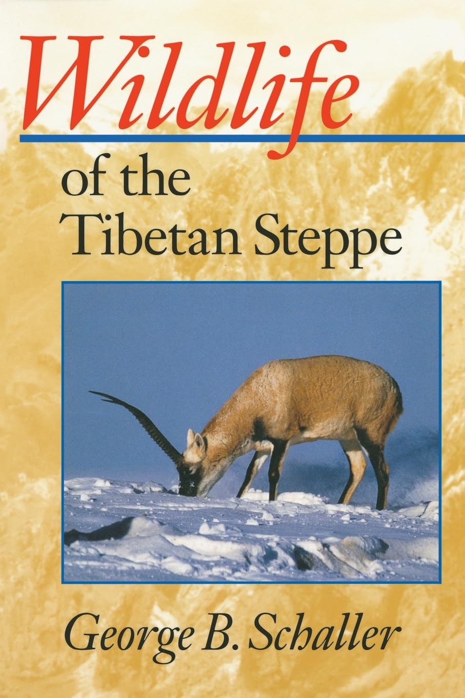 Wildlife Of The Tibetan Steppe