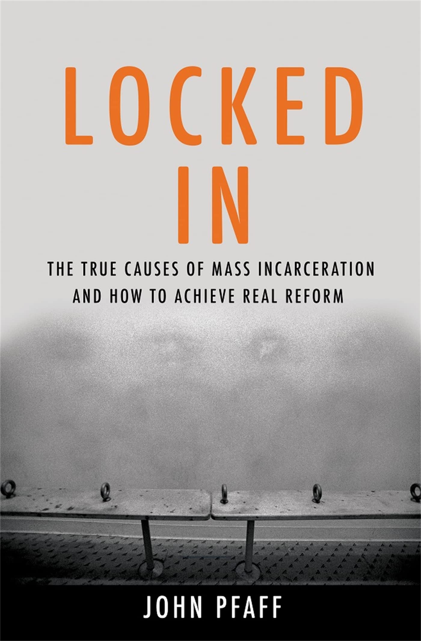 Locked In: The True Causes of Mass Incarcerationand How to Achieve Real Reform,Used