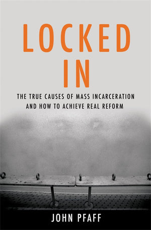 Locked In: The True Causes of Mass Incarcerationand How to Achieve Real Reform,Used