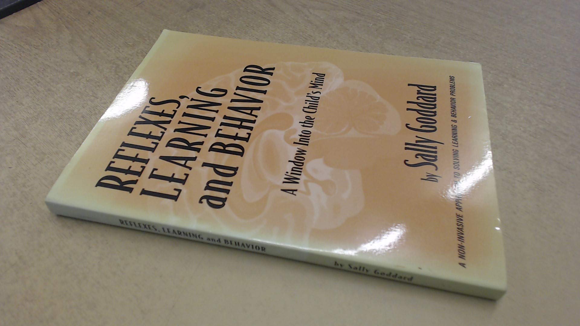 Reflexes, Learning and Behavior: A Window into the Child's Mind,New