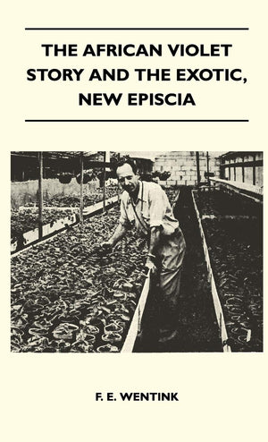 The African Violet Story And The Exotic, New Episcia,Used