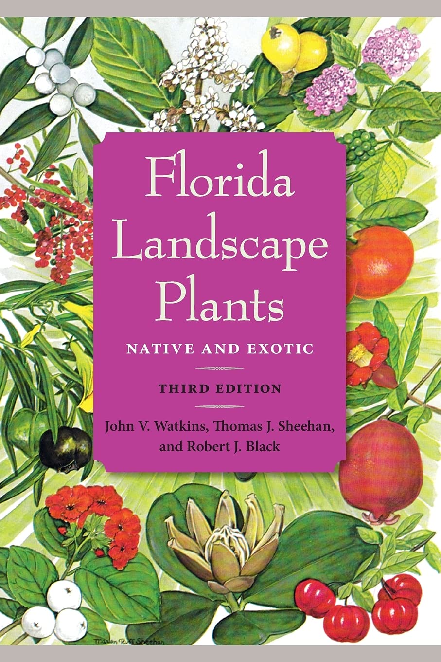 Florida Landscape Plants: Native And Exotic,Used