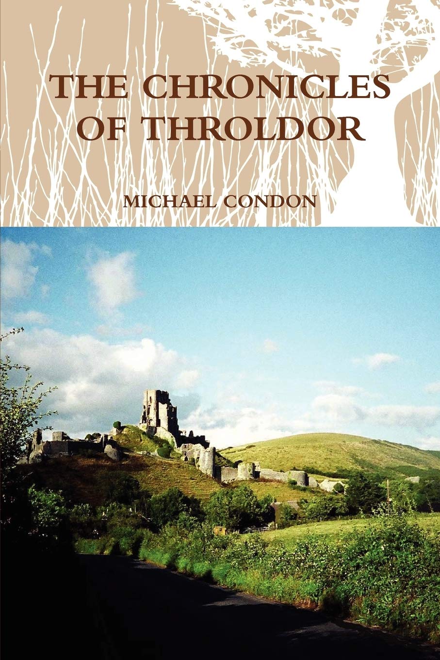 The Chronicles Of Throldor,Used