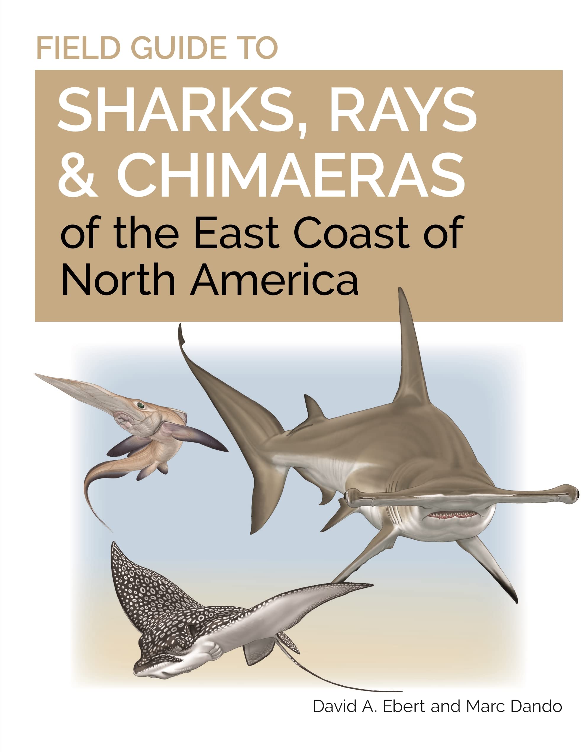 Field Guide To Sharks, Rays And Chimaeras Of The East Coast Of North America (Wild Nature Press),Used