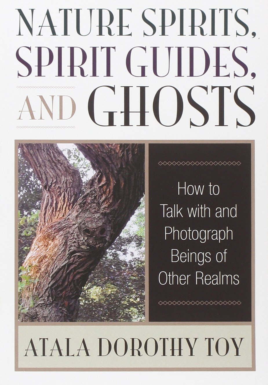 Nature Spirits, Spirit Guides, and Ghosts: How to Talk with and Photograph Beings of Other Realms,Used