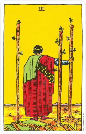 Pocket Riderwaite Tarot (Riderwaite Tarot Deck Collection),Used