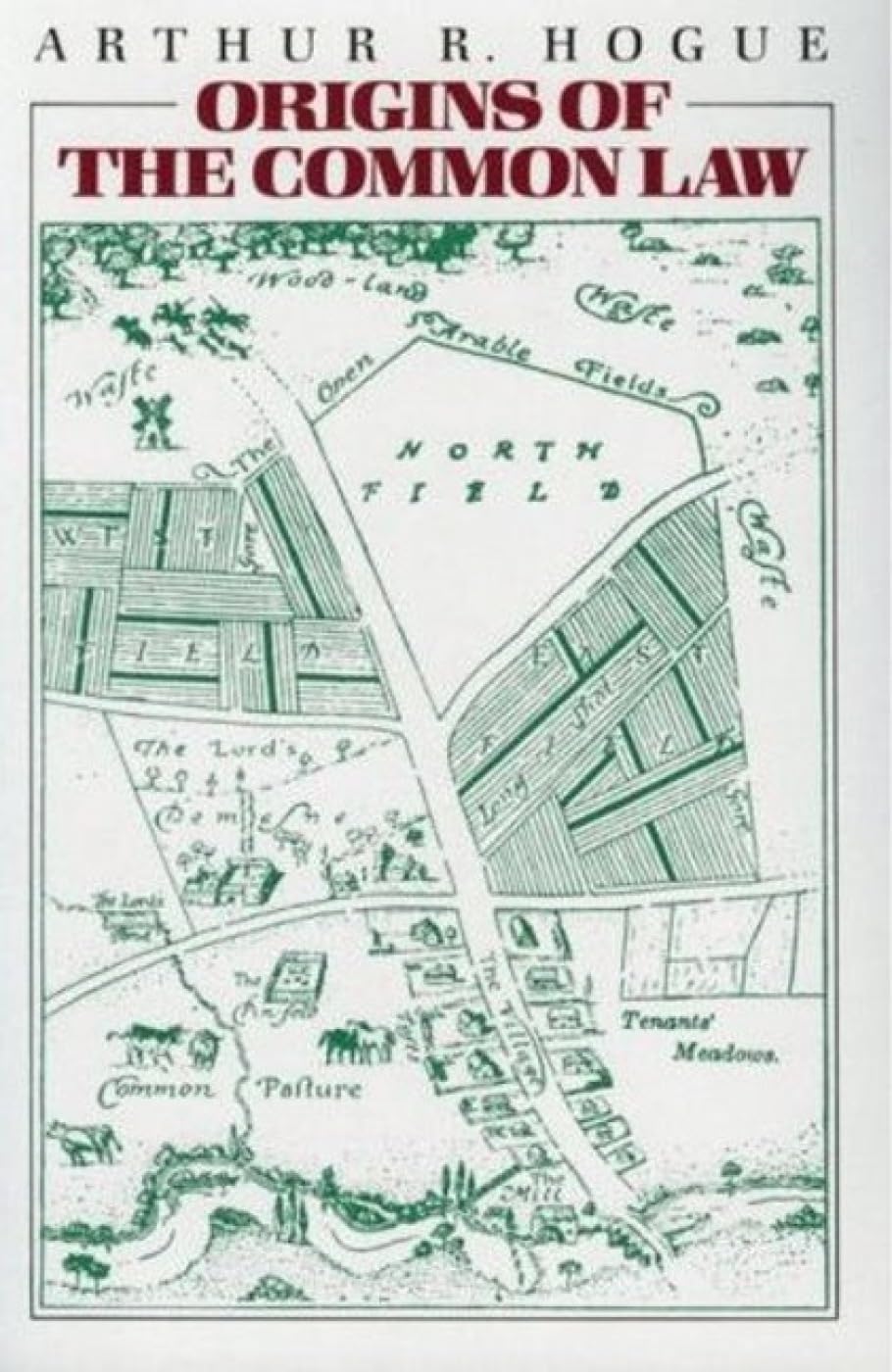 Origins Of The Common Law-used