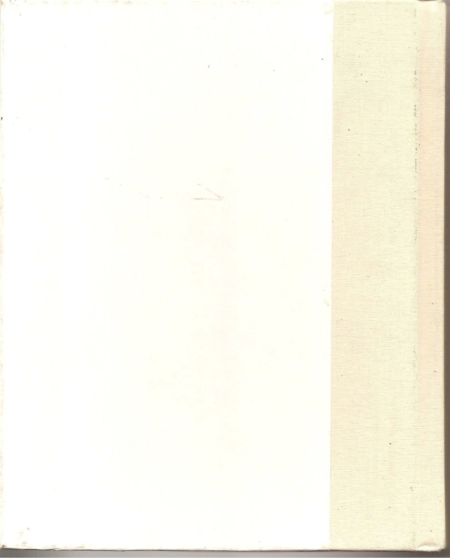 No Need To Knead: Handmade Italian Breads In 90 Minutes,Used