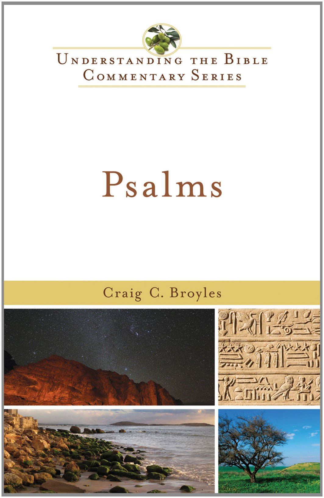 Psalms (Understanding the Bible Commentary Series),Used