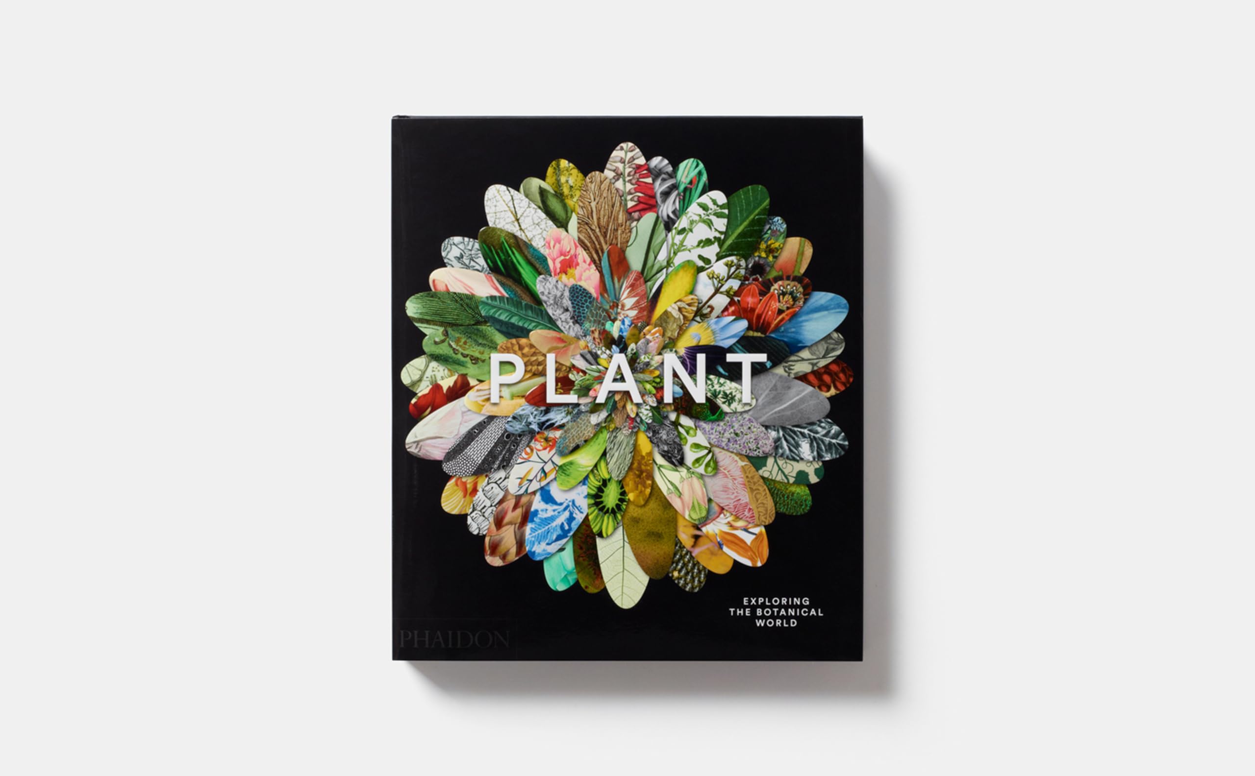Plant: Exploring The Botanical World,Used