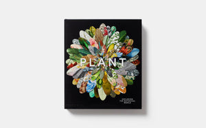 Plant: Exploring The Botanical World,Used