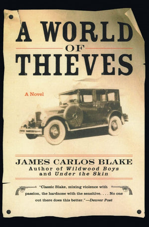 A World of Thieves: A Novel,Used