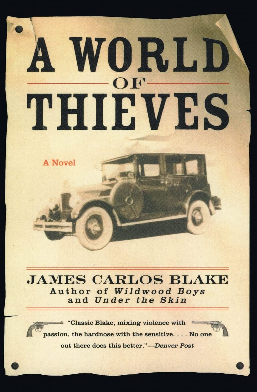 A World of Thieves: A Novel,Used
